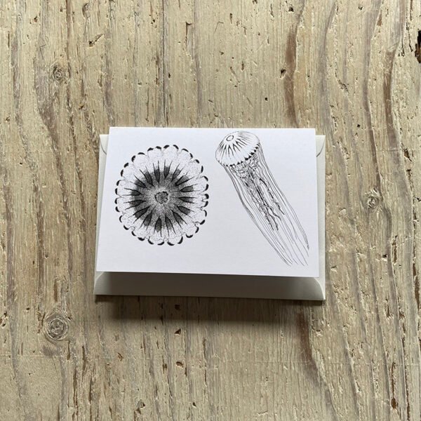 Compass jellyfish greetings card