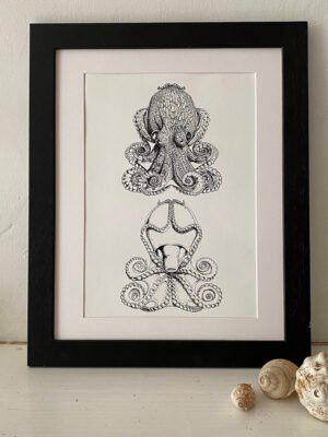 Curled Octopus Dorsal and Ventral Fine Art Print