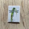 Emperor Dragonfly Greetings Card