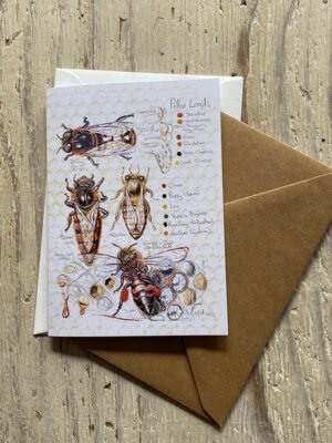 Honey bee greetings card