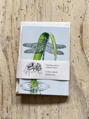 Insects Greetings Cards Set