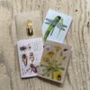 Insects Greetings Cards Set
