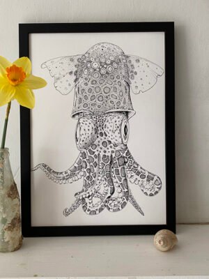 Little Atlantic Cuttlefish Fine Art Print
