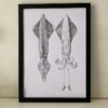Veined Squid Dorsal & Ventrical Fine Art Print