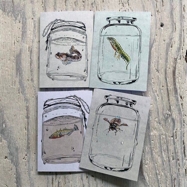 freshwater life greetings cards