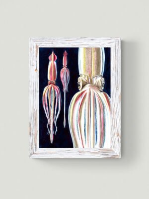 Giant squid limited edition fine art print