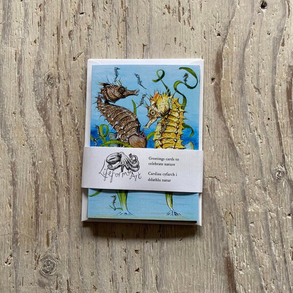 Seahorse & Pipefish Greetings Card set