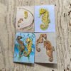 Seahorse and Pipefish Greetings Card Set
