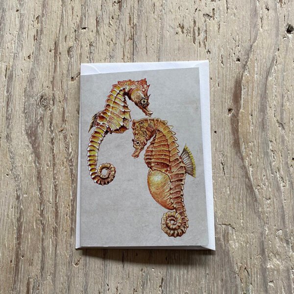 Short Snouted Seahorse Greetings Card