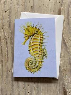 Spiny Seahorse Greetings Card
