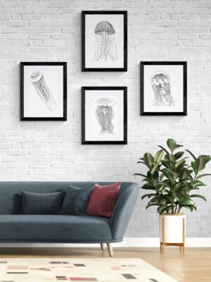 Jellyfish Fine Art Prints