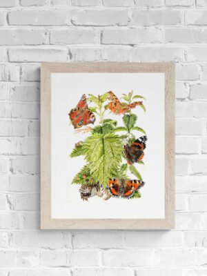 Nettle fine art print