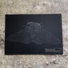 black peppered moth fine art print
