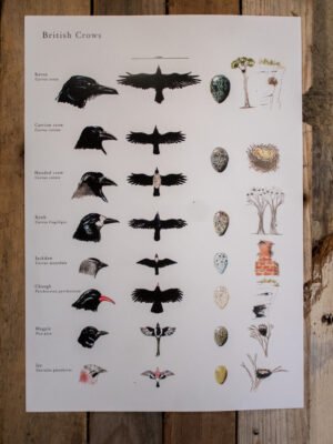 British Crows poster