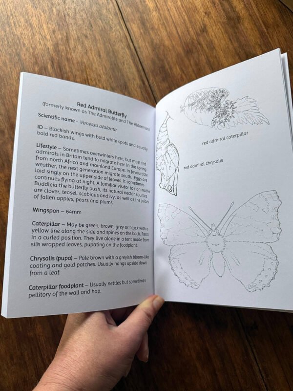 Butterfly and nettle nature discovery book - learn about butterflies