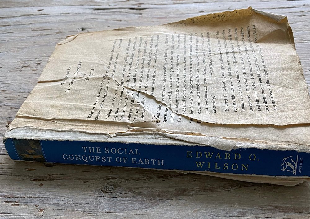 A well read copy of an Edward O Wilson Book