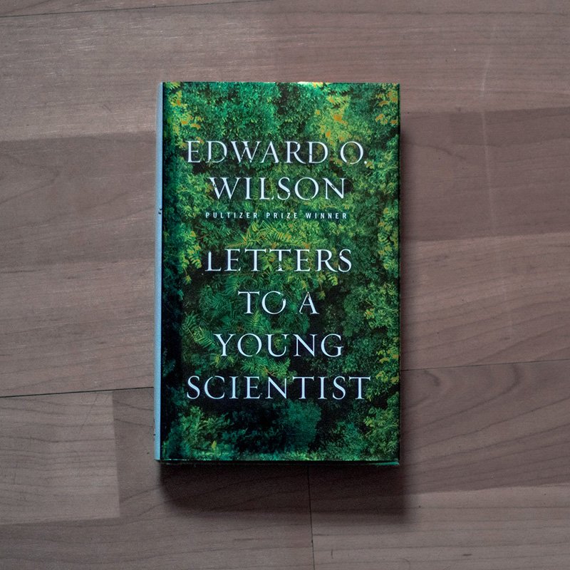 Letters To A Young Scientist - Edward O Wilson