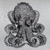 resting octopus image