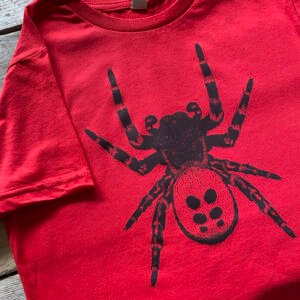 Childrens Ladybird spider t-shirt - red