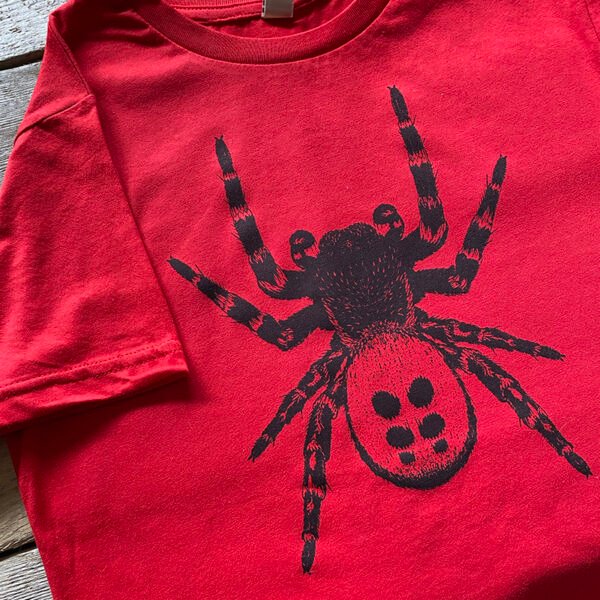 Childrens Ladybird spider t-shirt - red