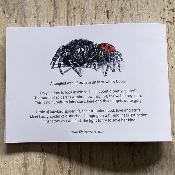 Lacey the ladybird spider - back cover