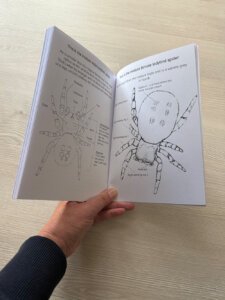 Ladybird Spider Nature Discovery Book - Spider Anatomy