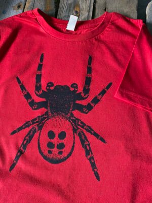 Ladybird Spider T-shirt - Red