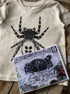 Ladybird spider T-shirt and colouring book