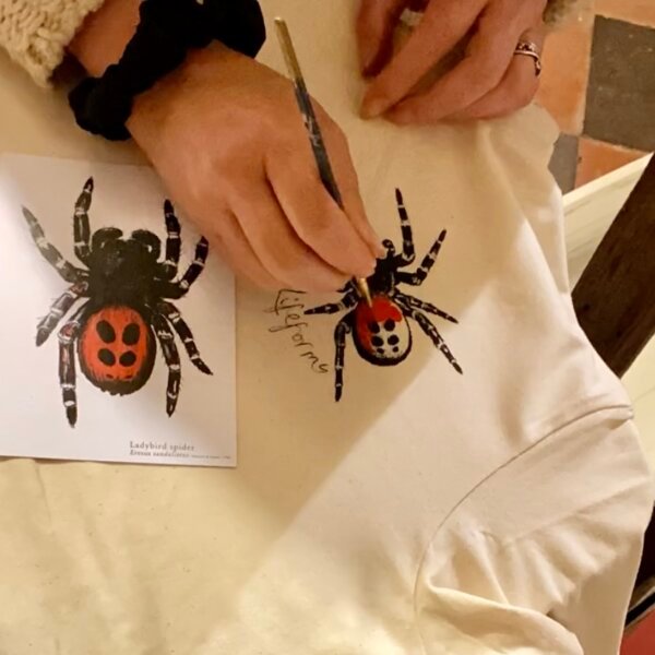 Pocket Ladybird Spider T-shirt - Image 6