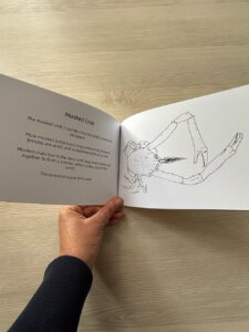 Crabs Colouring Book - discover crabs