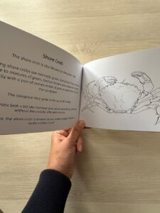 Crabs Colouring Book - learn more about your favourite crabs