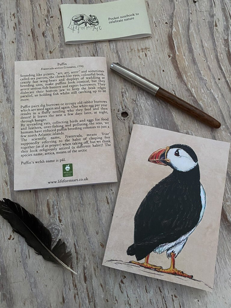 Puffin Recycled Pocket Notebook