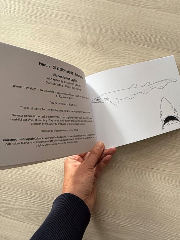 Sharks Colouring Book - Image 2