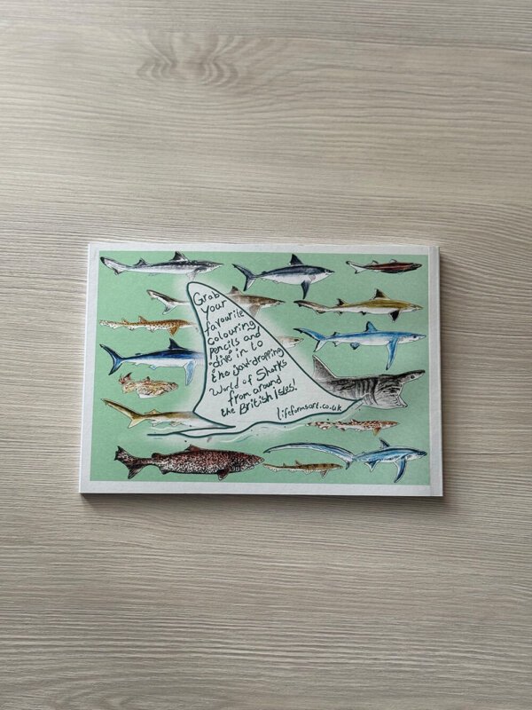 Sharks Colouring Book - Image 4