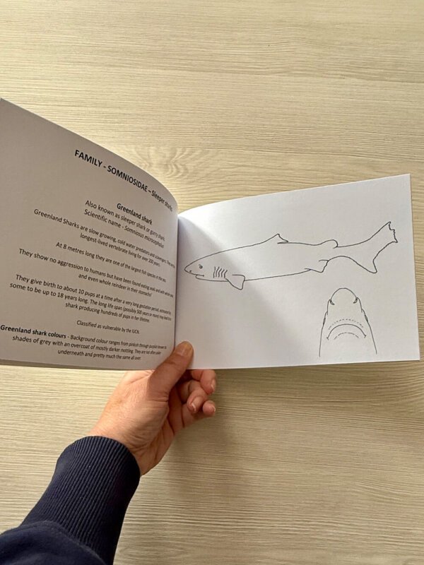 Sharks Colouring Book - Image 3