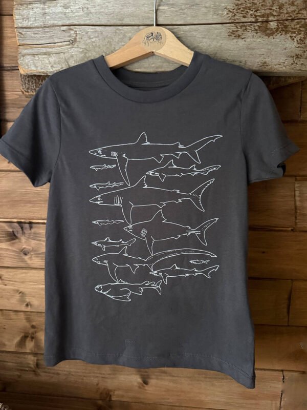 Sharks T-shirt Anthracite grey