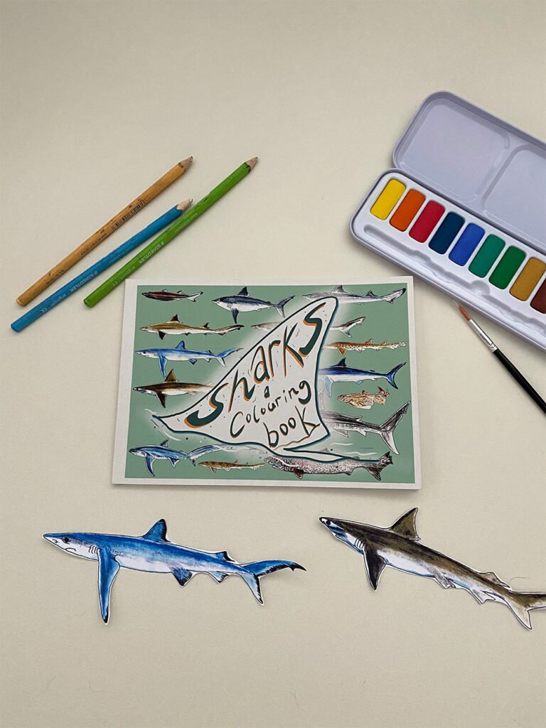 Sharks colouring book