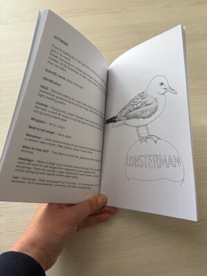 Gulls & Buoys Nature Discovery Book -Kittiwake facts