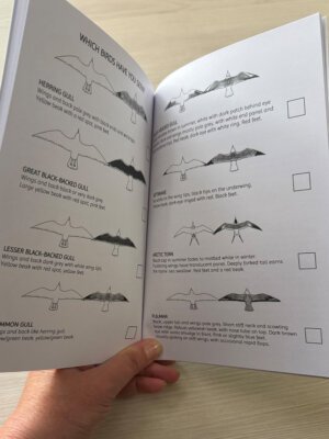 Gulls & Buoys Nature Discovery Book - Tick Chart