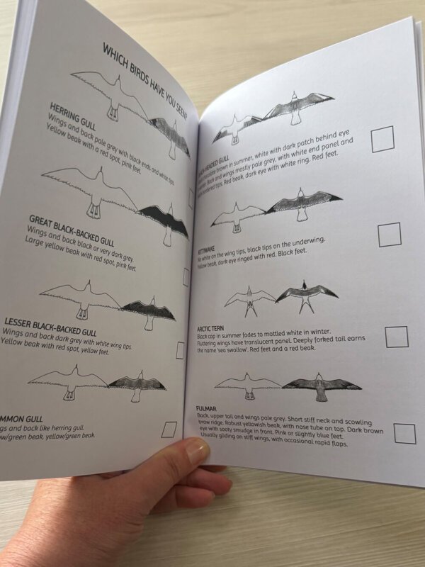 Gulls & Buoys Nature Discovery Book - Tick Chart