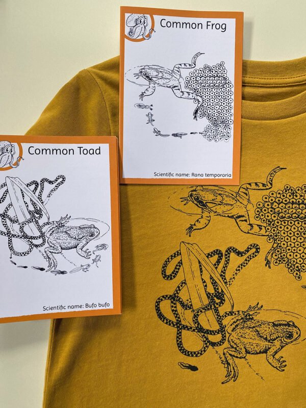 Close-up Detail of the Children's Frog and Toad shirt