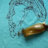 Children's Dogfish T-shirt with egg case