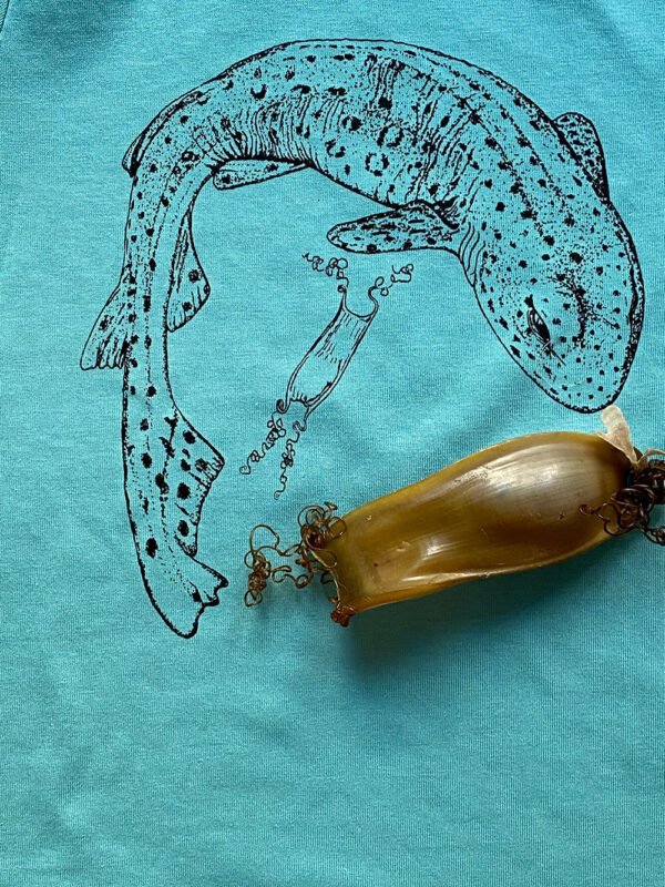 Children's Dogfish T-shirt with egg case