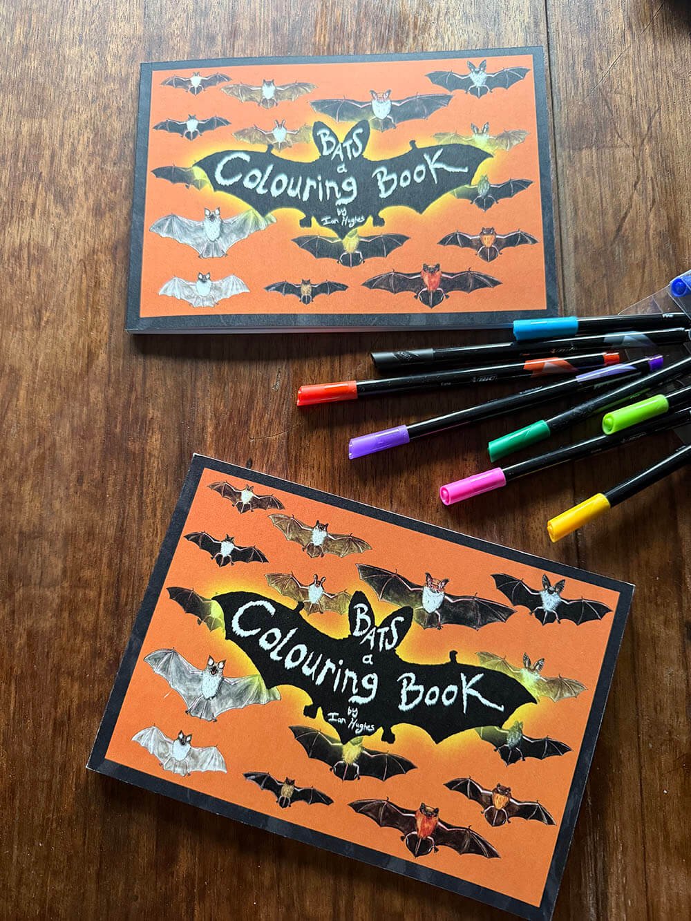 Bats book to colour