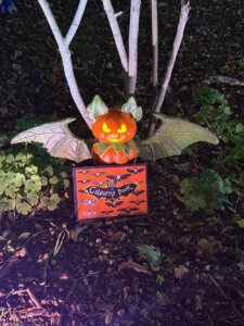 Bats Colouring Book - a spooky treat