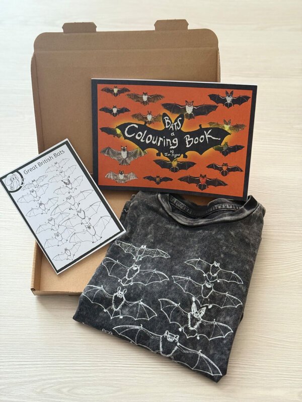 Bats Gift Set for Children