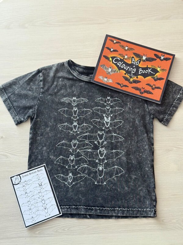 Children's Bats Gift Set - Image 2