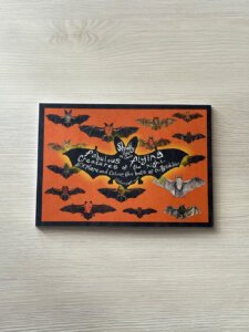 Bats colouring book - back