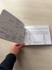 Bats colouring book - learn about bats