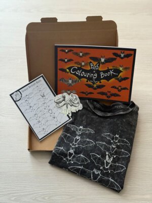 Bats gift set for children